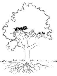The Tree Is Seen In Detail Coloring Pages Tree Coloring Page Coloring Pages Bible Art Journaling