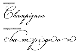10 hand kerned opentype script, cursive, calligraphy, hand printing, brush, old english, and architectural fonts for windows vista/xp/2003/2000 or the mac. 47 Calligraphy Fonts For Adding Style And Interest To Your Site
