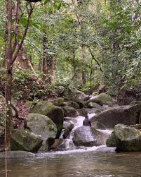 Aside from mountaineering, the national park is a biodiversity hotspot. Gunung Gading National Park Travel Guidebook Must Visit Attractions In Sarawak Gunung Gading National Park Nearby Recommendation Trip Com