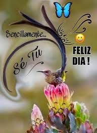 Maybe you would like to learn more about one of these? Frase De Buenos Dias Sencillamente Se Tu Feliz Dia Frases Pw
