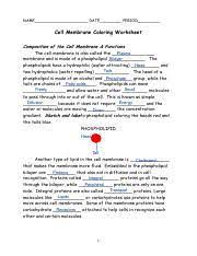 Cell membrane coloring worksheet composition of the cell membrane & functions. Cell Membrane Coloring Sheet 28knowledge 29 Name Date Period Cell Membrane Coloring Worksheet Composition Of The Cell Membrane Functions The Cell Course Hero