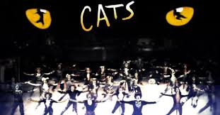 We would like to show you a description here but the site won't allow us. Cats Pelicula Ver Online Completas En Espanol