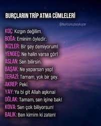 Burclarin Trip Atma Cumleleri Burclar Burc Bilgileri Ikizler Burcu