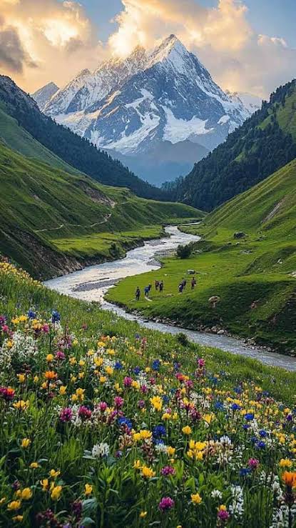 Himachal Pradesh