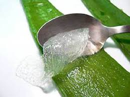 Benefici Di Aloe Vera Aloe Benefici Di Vera Rimedi Photo Blog Home Remedies For Wrinkles Psoriasis Diet Psoriasis