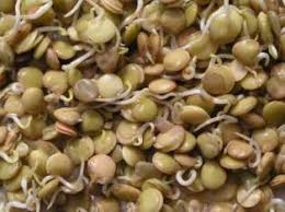 Image result for vitamin  b 17