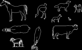 Animals dwg cad for your projects, with us you will find a lot of useful content for yourself, we all give away for free. Animals Designs Cad