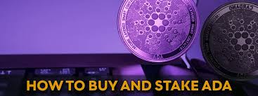 Watch to learn how to stake your ada today and receive passive cryptocurrency income from now until the shelly. Where And How Do I Buy And Store Ada Cardano Stakepool Germany Germany