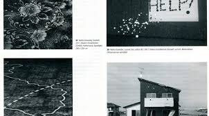 Transitorisch bezeichnet das vorübergehende, nur kurz andauernde eines zustandes; Transitorisch Naho Kawabe