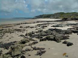 Take a walk with me down boneyard beach at big talbot island state park. Big Talbot Island State Park Florida Hikes