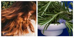 #3 lo único que puedes hacer es esperar a que le crezca. El Secreto Con Romero Que Hara Crecer Tu Cabello