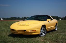 Image result for Jasmine Yellow 1994 Reliant