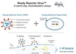 Image result for Neutralization Test
