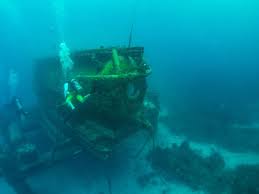 Image result for Scuba Blue 2014 AQ