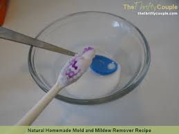 homemade mold and mildew remover recipe
