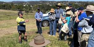 Grass ID workshop - Teralba