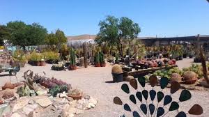 This is a great nursery. Cactus Joe S Walkaround Youtube