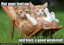 Image result for weekend cat