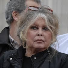 Her father had an engineering degree and worked with his father in the family business. Brigitte Bardot On Life In The Spotlight I Know What It Feels Like To Be Hunted