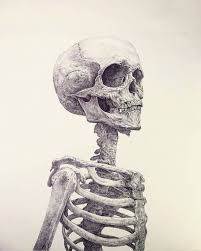 Incredible Ball Point Pen Drawing By Gunopark Beautifulbizarremagazine Contemporaryart Drawing S Skeleton Drawings Ballpoint Pen Art Skulls Drawing