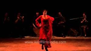 We did not find results for: Smashing Performance By Spanish Flamenco Dancer Maria Pages Youtube