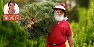 This will ideally get a large amount of sap off already. How To Remove Sap From A Car Easy Ways To Clean Christmas Tree Pine Sap