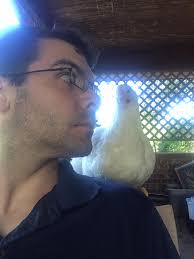 Made it to the top of Goatfell