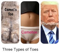 Amy, now you need to spread out the panties inside so that they stay in place. how do i do that? Camel S Toe Rumptoe Cameltoe Politics Meme On Me Me