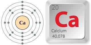 Image result for Calcium
