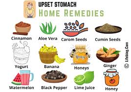 Fennel is great for an upset stomach, but you may omit it if you don't want to risk the fennel flavor. Home Remedies For Upset Stomach Easy Fast Effective