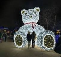 Giant Christmas LED Motif Light 3D Large Teddy Bear Light ...