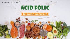 Folic acid prevents congenital malformations in the offspring of diabetic mice. 12 Surse Naturale De Acid Folic Youtube
