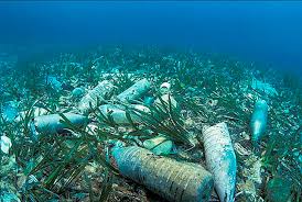 2050: más plásticos que peces en los océanos - Compromiso Nacional ...