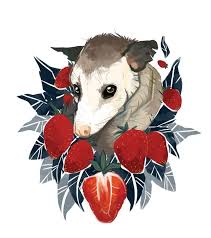Strawberry Opossum By Alison Polston Art Print By Opossum My Possum Society6 Opossum Tattoo Animal Art Art