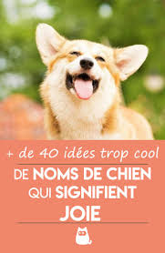 Ce nom a évidemment été popularisé par la célèbre série dont l'héroïne était le colley femelle du même nom. Noms De Chien Qui Signifient Joie Males Et Femelles Nom De Chien Noms De Chien Femelle Nom De Chien Male