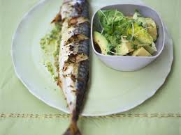 Gebackene Makrele Mit Avocado Salat Rezept Avocado Salat Makrele Leichte Kost