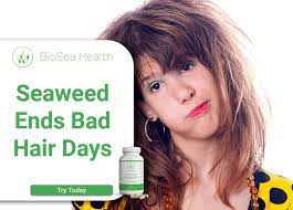 Benefits of sea kelp for hair. Seaweed For Hair Health Nails And Now Hair Surprising