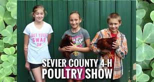 2015 Sevier County 4-H Chick Chain Winners Announced