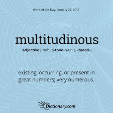 Words We Like Writers Write Dictionary Words Uncommon Words Words