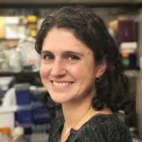 Meredith Crane's Instagram, Twitter & Facebook