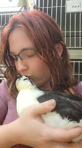 Duck or goose health issues