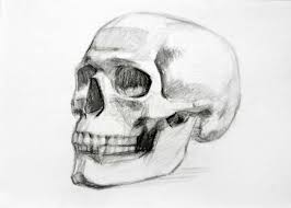 Drawing Skulls How To Draw Skull Skulls Drawing Skull Drawing Skull Sketch