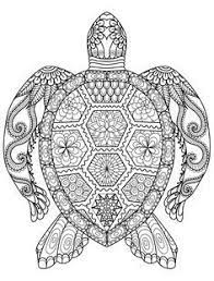 These free, printable summer coloring pages are a great activity the kids can do this summer when it. Sea Turtle Coloring Page For Adults For Free Download Turtle Coloring Pages Mandala Coloring Pages Printable Coloring Pages