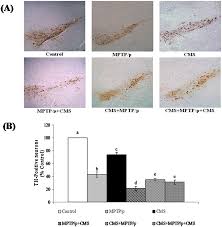 Just the letter b), please see our link individual letters section. Influences Of Chronic Mild Stress Exposure On Motor Non Motor Impairments And Neurochemical Variables In Specific Brain Areas Of Mptp Probenecid Induced Neurotoxicity In Mice Plos One