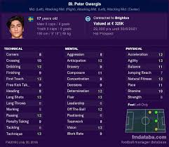 Peter gwargis (born 4 september 2000) is a swedish professional footballer who plays for english club brighton & hove albion as a midfielder. Peter Gwargis Vs Pawel Cibicki Compare Now Fm 2019 Profiles