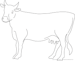 We did not find results for: Ausmalbilder Kuhe