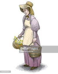 Check spelling or type a new query. Pioneer Woman Clipart 1 566 198 Clip Arts