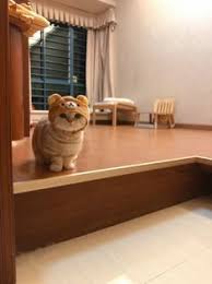  Trisia Safitri Trisiasafitri Profil Pinterest