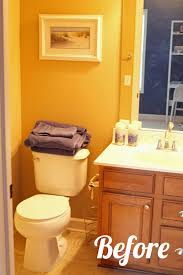 Whatever your style, we make it easy to narrow down the best bathroom paint color. Guest Bathroom Paint Makeover