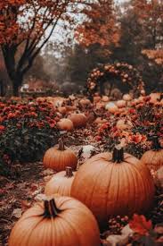 Fall - The warmer it gets, the more I long for Fall 🧡 🍂 🎃 💛 | Facebook